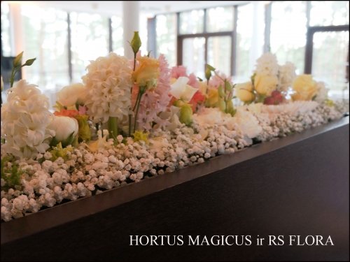 HORTUS MAGICUS gėlių dizainas