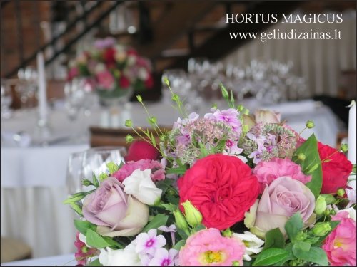 HORTUS MAGICUS gėlių dizainas