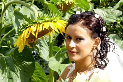 Fotografija ir filmavimas