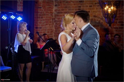 Vladas Dobrovolskis Profesionalas