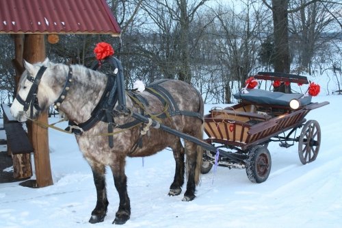 Jus kviečia Dvarykščių sodyba,esanti tik 8km už Vilniaus!