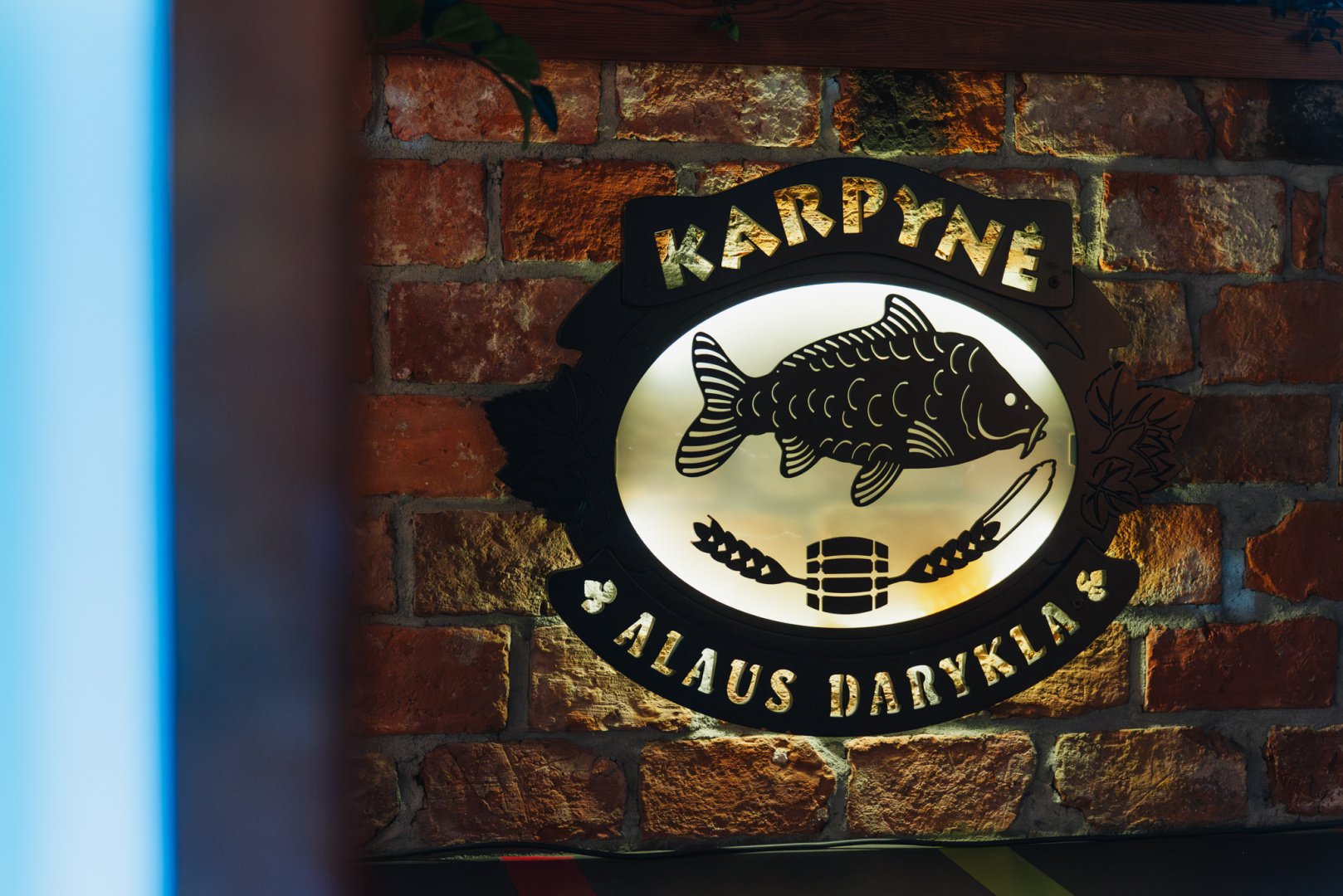 Sodybos, dvarai, vilos Kaimo turizmo sodyba ,,Karpynė"