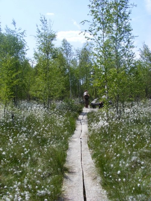 Lankytinos vietos Dubravos rezervatinės apyrubės ~2 km apžvalgos takas