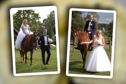 Vestuvių fotografai ir filmuotojai