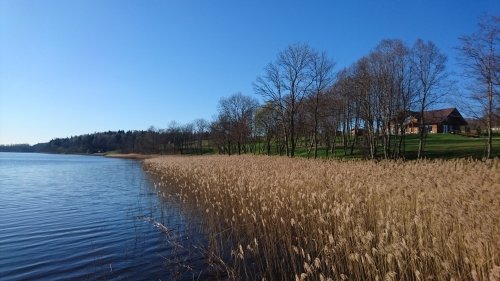 „Bitės vila“ Jūsų šventei