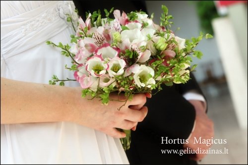 HORTUS MAGICUS gėlių dizainas