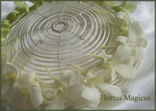 HORTUS MAGICUS gėlių dizainas