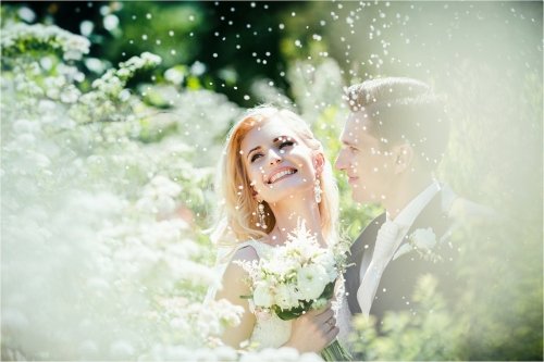 Vestuvių fotografas Vestuvių fotografai