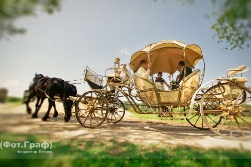 Фот.граф Владимир Петров 