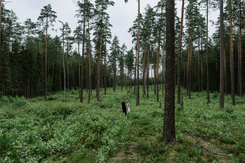 Vestuvių fotografas Reportažinė vestuvių fotografija. 