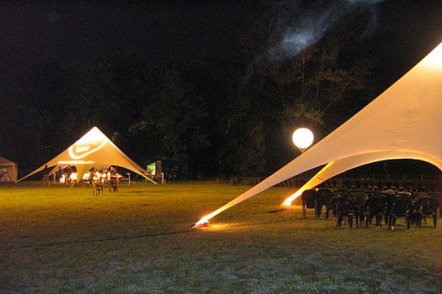 PAVILJONŲ nuoma, dekoravimas šventėms www.vippaviljonai.lt