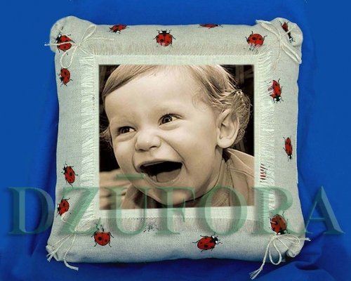 Vestuvių fotografas Fotostudija "DZŪFORA" Lazdijuose