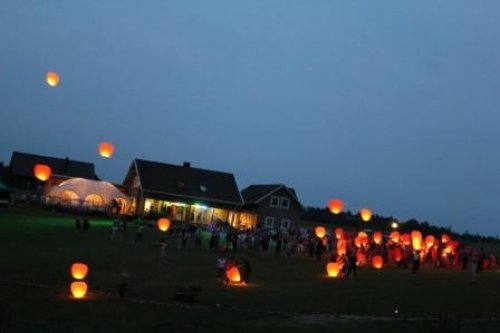 Vieta vestuvėms ir organizavimas - VILA TERRA 