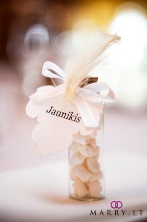 Šventės scenarijus Jums - MARRY.LT