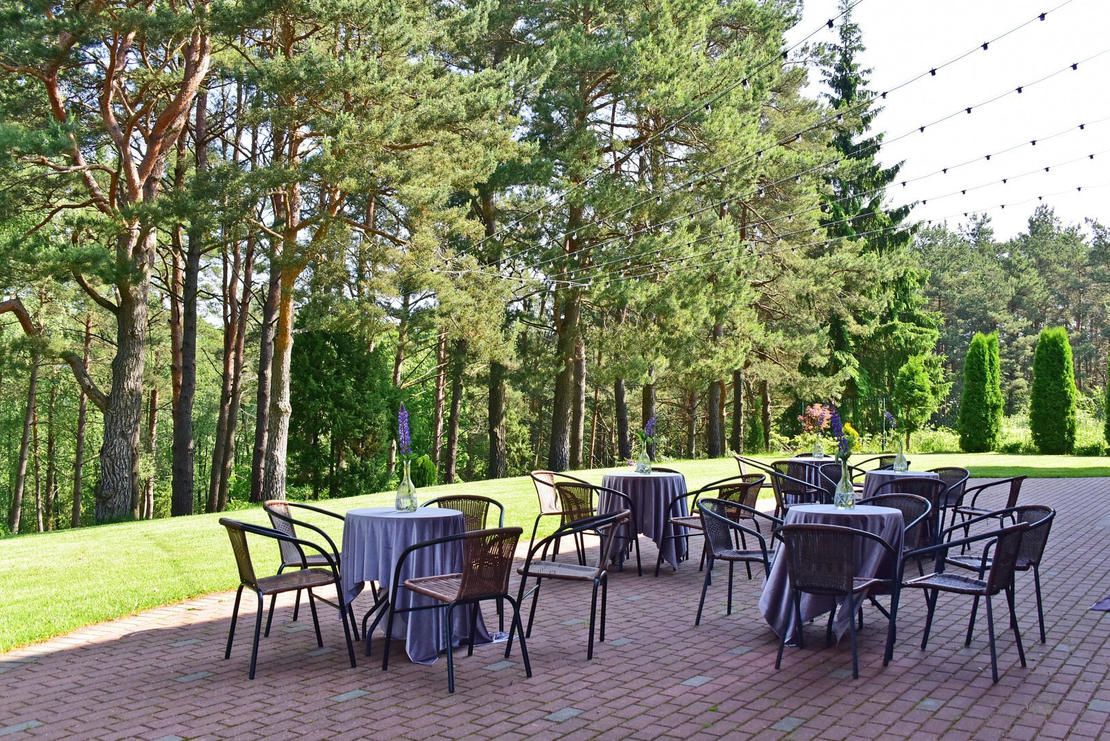La Villa Royale- privatumo oazė visai šalia sostinės!