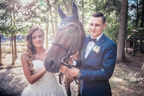 Masiulida media - Kūrybiškas požiūris į fotografiją