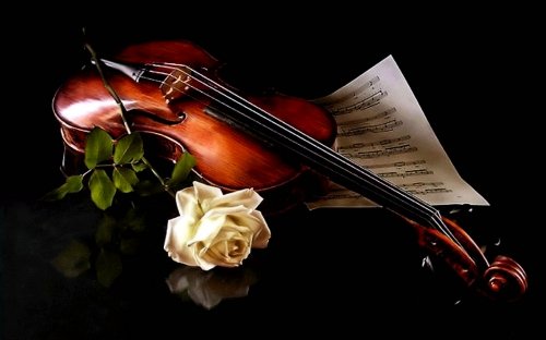 Vestuvių muzikantai Smuiko ir akordeono muzika Jūsų šventei!!!