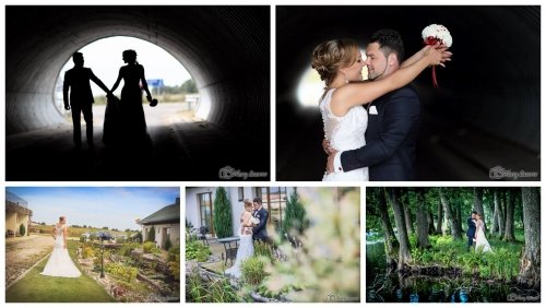 Vestuvių/krikštynų bei kitų progų fotografavimas