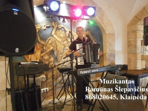 Vestuvių muzikantai Profesionalus  Muzikantas - Renginių Vedėjas
                  
