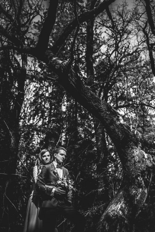 Ignas Photography