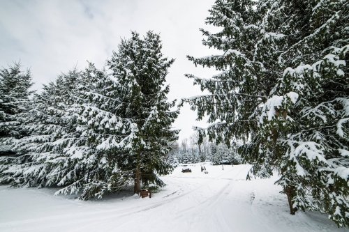 Sodyba „Levainių dvarkiemis“ tai puiki vieta Jūsų renginiams!   