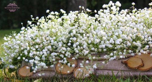 Vestuvinė Floristika ir Dekoras