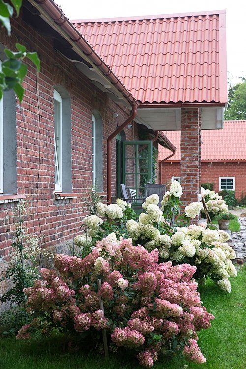 Platelių DVARO  Palivarkas