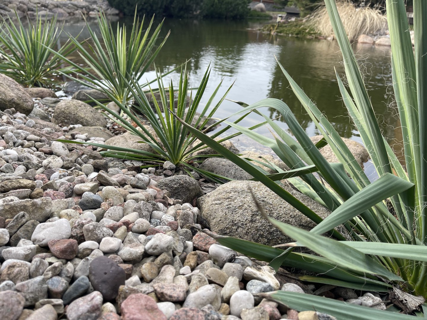 Mergvakarių – bernvakarių šventės vieta  Trumpalaikė nuoma