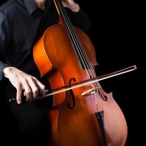 Magai, šokėjos, fakyrai ir kiti Groju Violončėle Laidotuvėse, Metinėse, Vestuvių Ceremonijose, Furšetuose