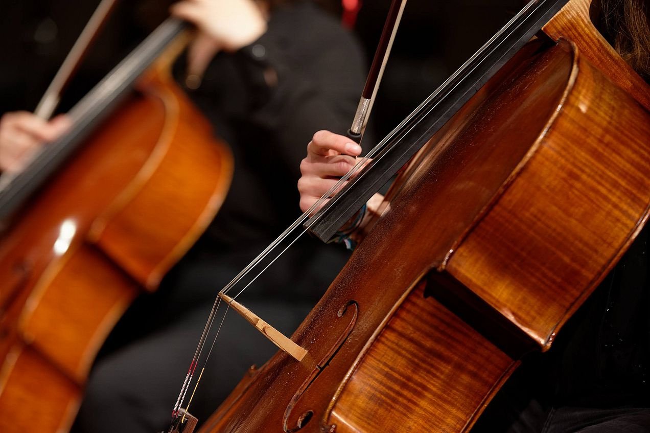 Magai, šokėjos, fakyrai ir kiti Groju Violončėle Laidotuvėse, Metinėse, Vestuvių Ceremonijose, Furšetuose
