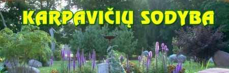 Erdvi sodyba 12 km nuo Marijampolės, prie Buktos miško logo