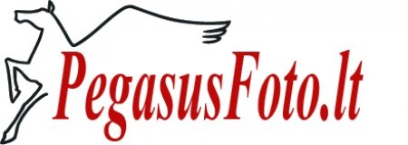 Profesionalus vestuvių fotografas logo